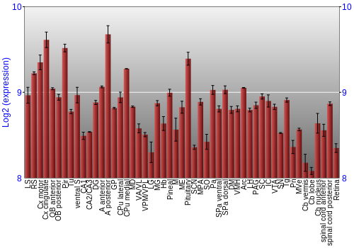 Expression graph