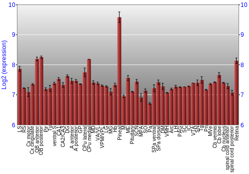 Expression graph