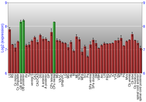 Multi-state expression graph
