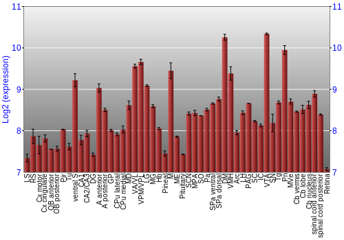 Expression graph