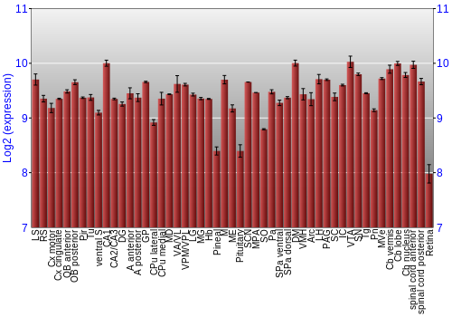 Expression graph