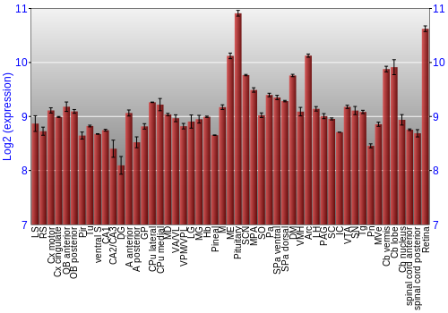 Expression graph