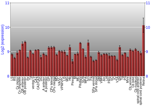 Expression graph