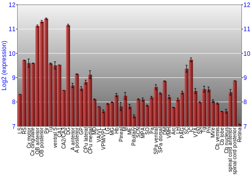 Expression graph