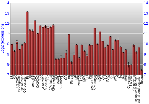 Expression graph