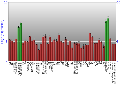 Multi-state expression graph