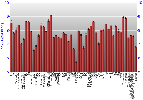 Expression graph