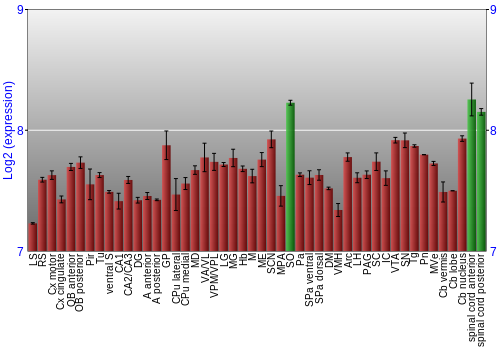Multi-state expression graph