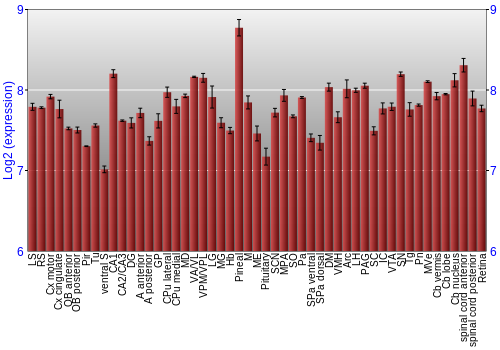 Expression graph