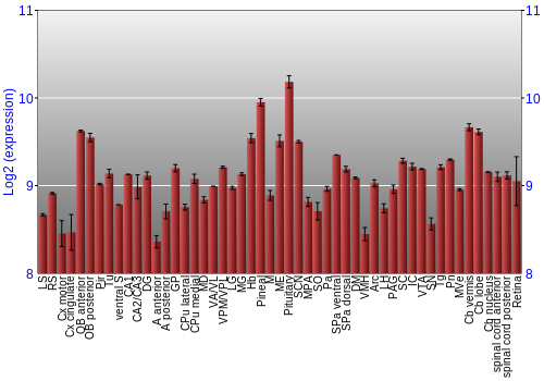 Expression graph