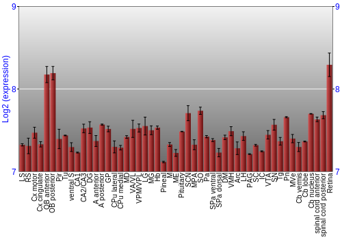 Expression graph