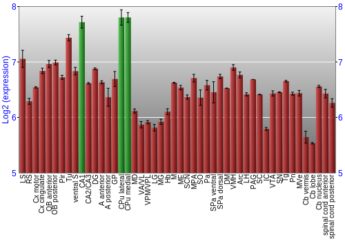 Multi-state expression graph