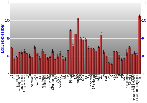 Expression graph