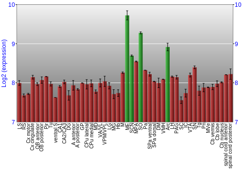 Multi-state expression graph