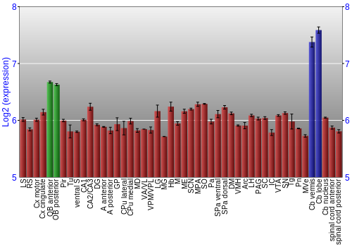 Multi-state expression graph
