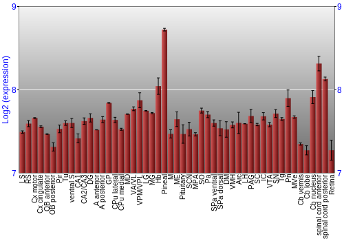 Expression graph