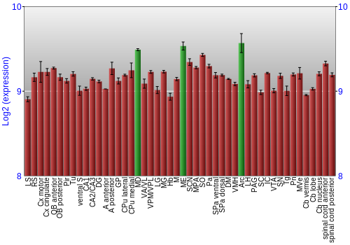 Multi-state expression graph