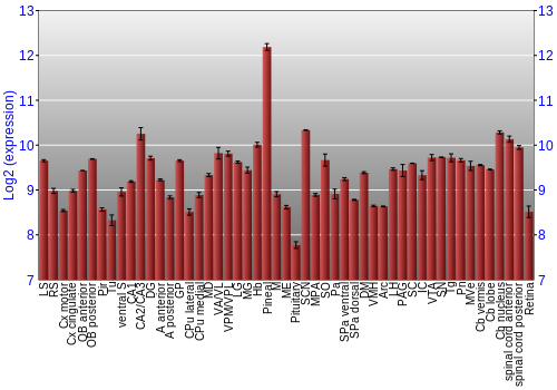 Expression graph