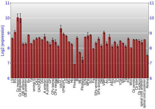 Expression graph