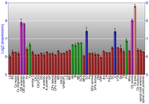 Multi-state expression graph