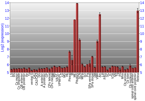 Expression graph