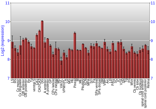 Expression graph