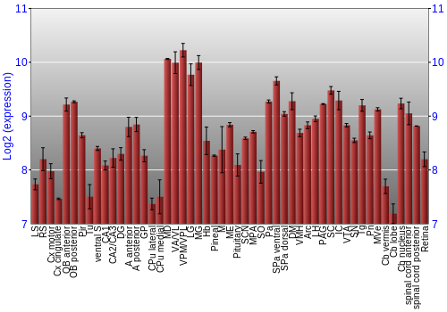 Expression graph