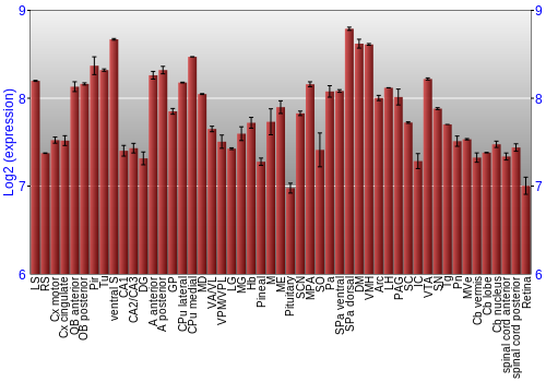 Expression graph