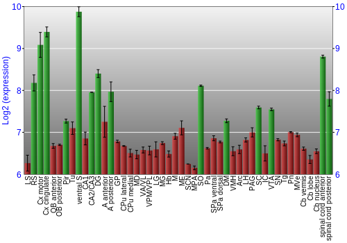 Multi-state expression graph