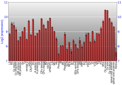 Expression graph
