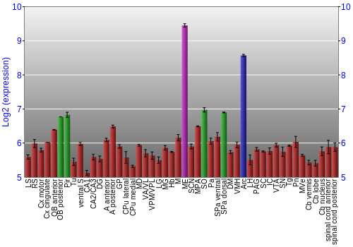 Multi-state expression graph