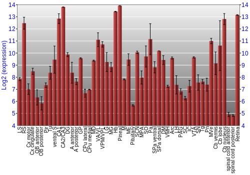 Expression graph