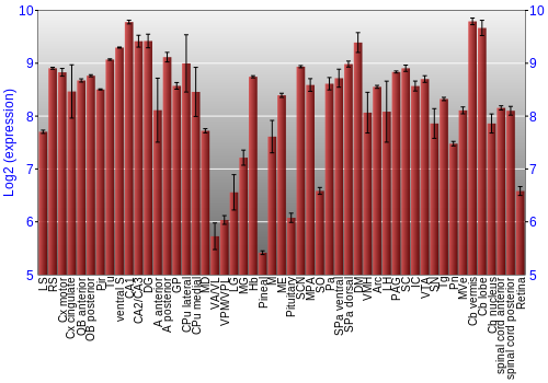 Expression graph