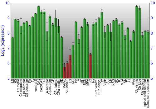 Multi-state expression graph