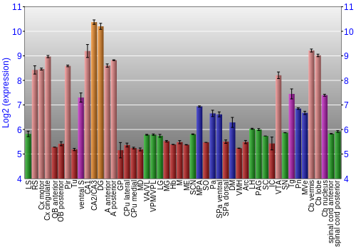 Multi-state expression graph