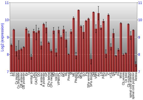 Expression graph