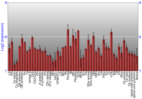 Expression graph