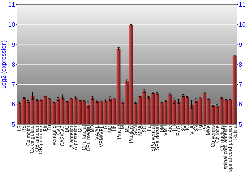 Expression graph