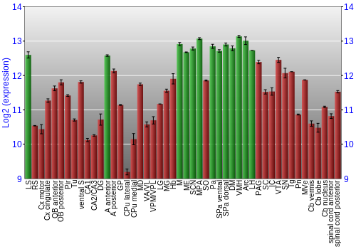 Multi-state expression graph
