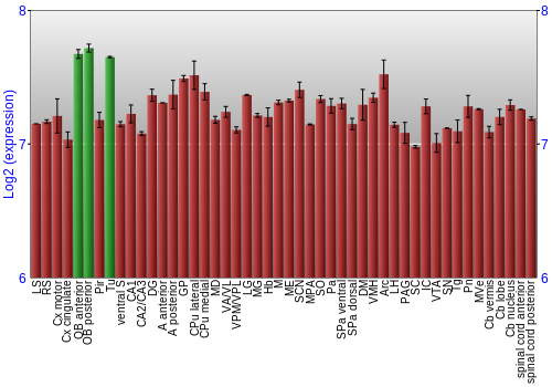 Multi-state expression graph