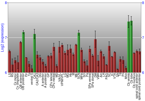 Multi-state expression graph