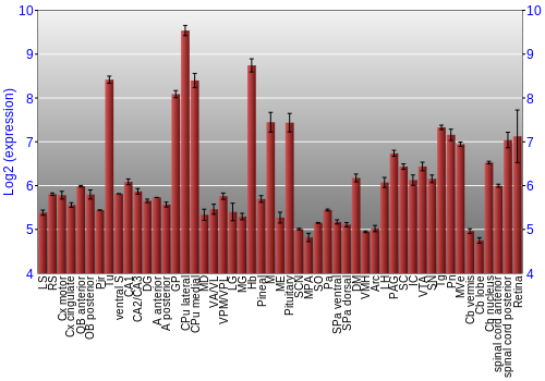 Expression graph