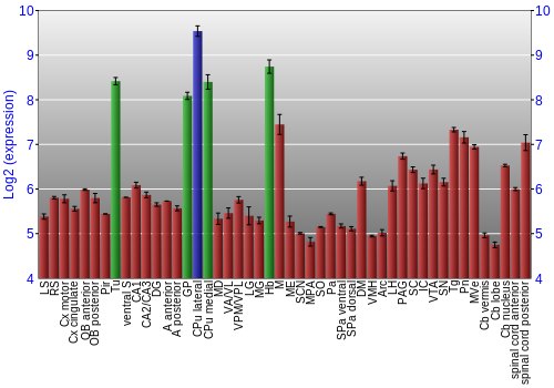 Multi-state expression graph