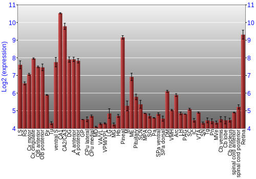 Expression graph