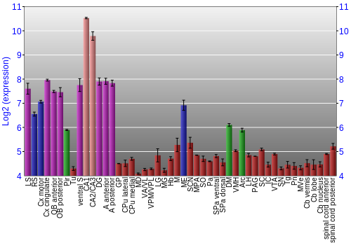 Multi-state expression graph