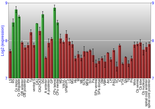 Multi-state expression graph