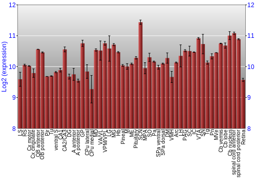 Expression graph