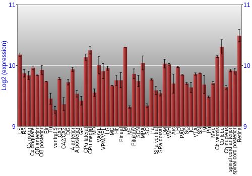 Expression graph