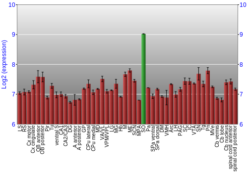 Multi-state expression graph