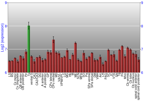 Multi-state expression graph